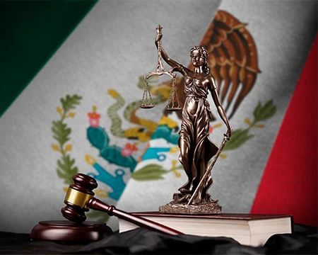 constitutional law